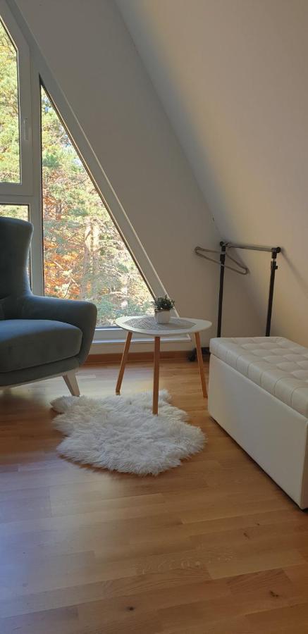 Apartman Divcigora Sokic Divcibare Ngoại thất bức ảnh