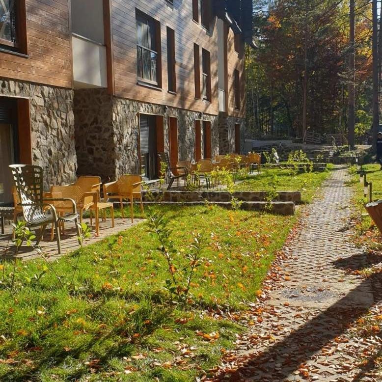 Apartman Divcigora Sokic Divcibare Ngoại thất bức ảnh